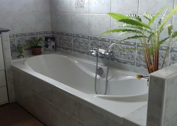 Dans Les Hauteurs De * Collioure